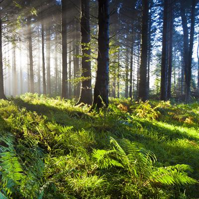 南宫体育app下载app下载