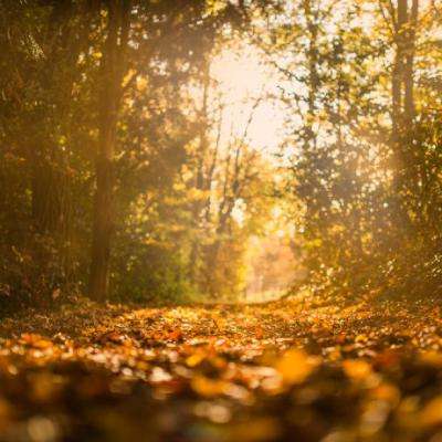 澳州幸运5官方app