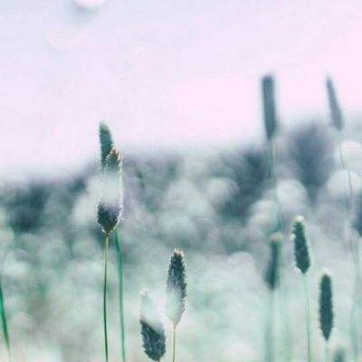 bet体育365官网正规手机app下载